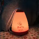 Máquina de sonido con luz nocturna - Shusher Firefly
