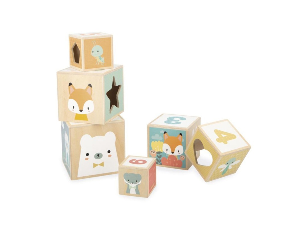 Pirámide de 6 Cubos PURE - Janod