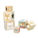 Pirámide de 6 Cubos PURE - Janod