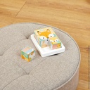 Bandeja de 6 Cubos PURE - Janod