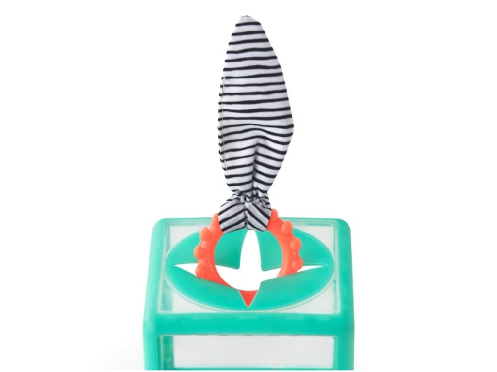 Caja Sensorial de aros - Sassy Toys