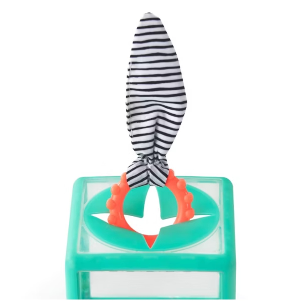 Caja Sensorial de aros - Sassy Toys