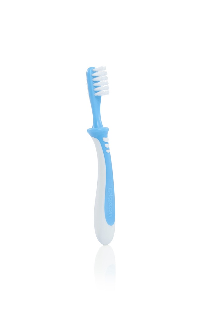 Cepillo Dental Paso 3 de Aprendizaje para Bebés - Pigeon