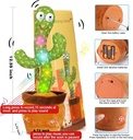 Juguete de cactus - Emoin