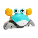 Cangrejo Tummy Time