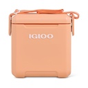 Enfriador estilo picnic con correa - IGLOO