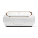 Extractor de Leche Eléctrico Portátil Doble Synergy Gold - Spectra